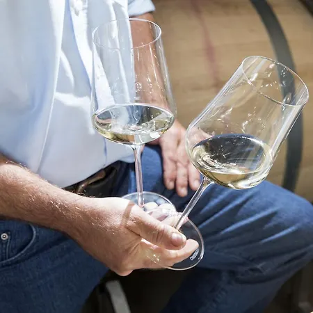 Weingut Dreisiebner Stammhaus Hotel