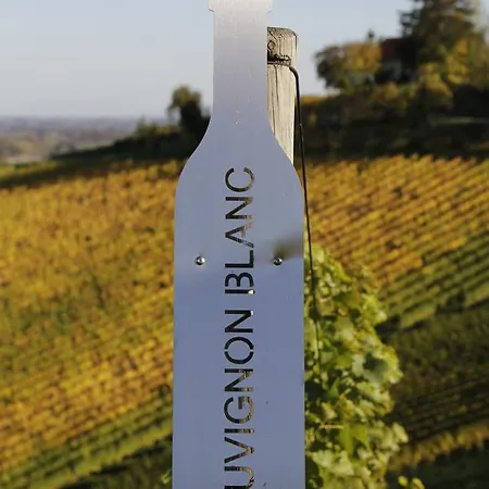 Hotel Weingut Dreisiebner Stammhaus