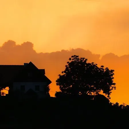 Weingut Dreisiebner Stammhaus