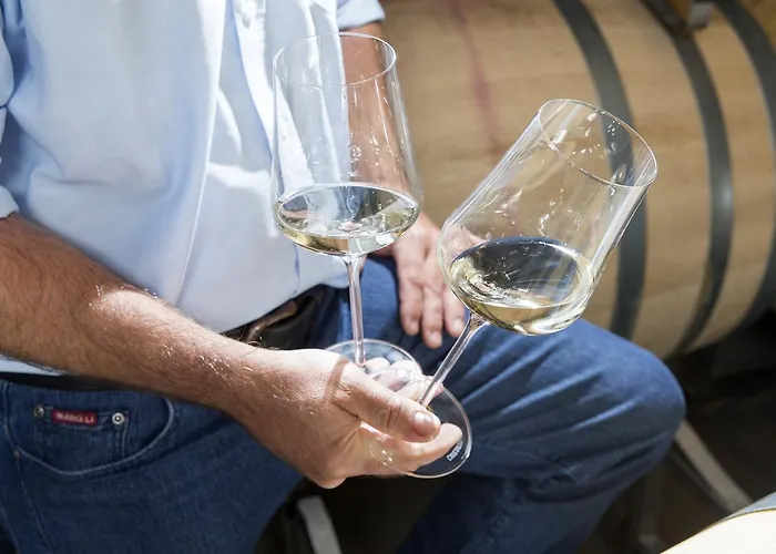 Weingut Dreisiebner Stammhaus 酒店