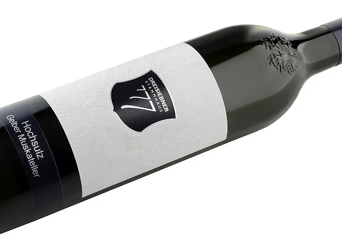 酒店 Weingut Dreisiebner Stammhaus *