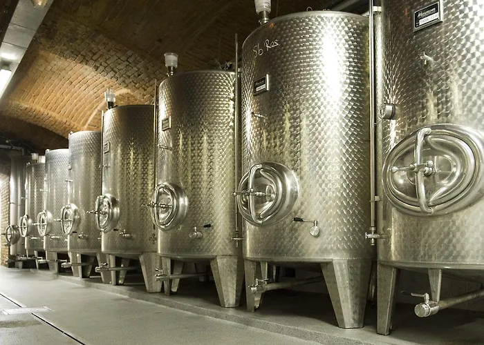 Weingut Dreisiebner Stammhaus 甘利特茨