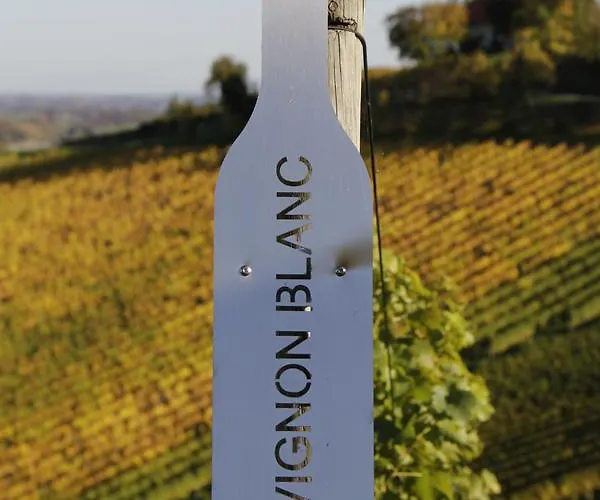 酒店 Weingut Dreisiebner Stammhaus