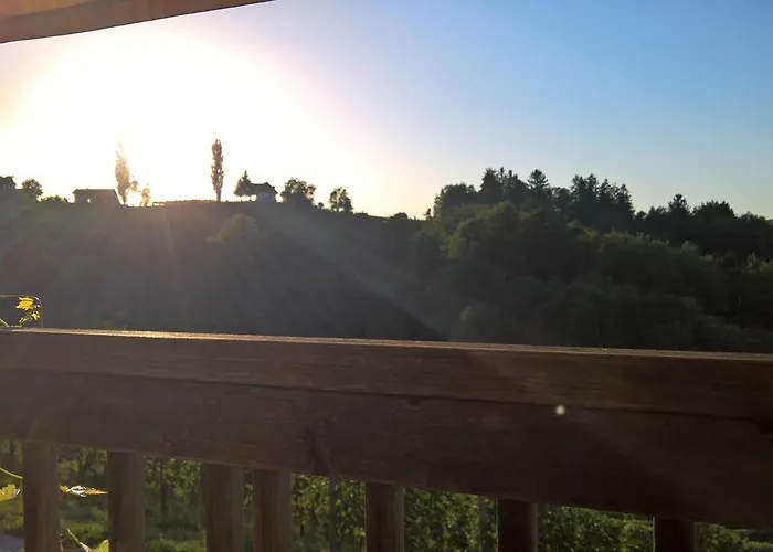 فندق Weingut Dreisiebner Stammhaus