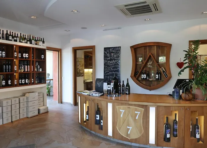 Weingut Dreisiebner Stammhaus 酒店